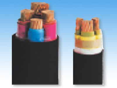 天康集團(tuán) 鋰電配件 硅橡膠耐高溫電力電纜