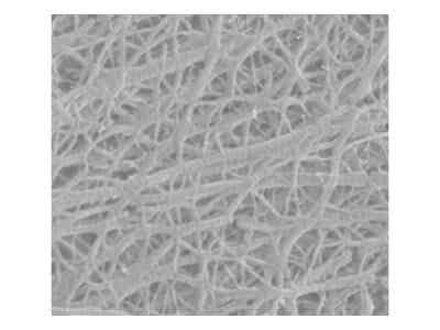 義騰新能源 常規微孔單層隔膜
