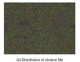 LiF改性后NCM811正極材料的SEM照片及 Ni、Co、Mn和F元素的面分布圖