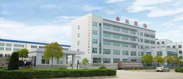 駱駝集團(tuán)股份有限公司