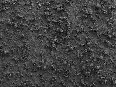 友恒實業(yè)水性PVDF電池隔膜