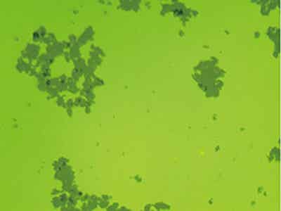 玉皇新能源 石墨烯漿料