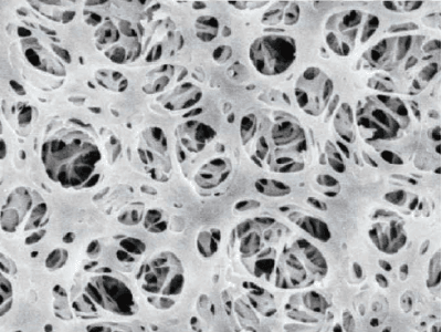 藍(lán)科途 鋰離子電池隔膜 芳綸涂覆隔膜