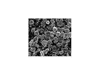 瑞盛新能源 鋰離子電池負(fù)極材料 天然改性負(fù)極石墨