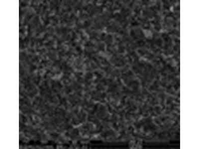 國(guó)遠(yuǎn)新材料 鋰電池負(fù)極材料F4-2-15