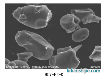 中科星城新型負(fù)極材料硬碳SEM