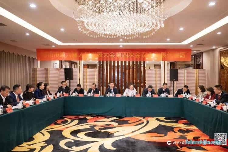 闞保勇參加臨武代表團審議