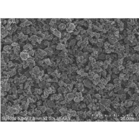 德方納米補(bǔ)鋰增強(qiáng)劑（LFO）